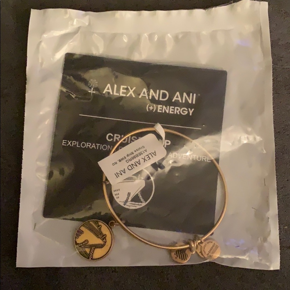 Alex and Ani Cruise Ship Bangle Rafaelian Gold